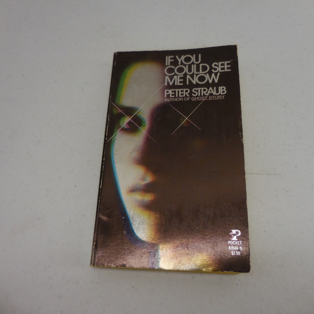 If You Could See Me Now Peter Straub 1979 Pocket Books Vintage Paperback Horror